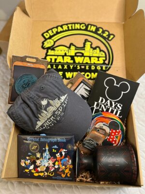 Disney World Gift Box