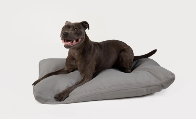 Dog Bed