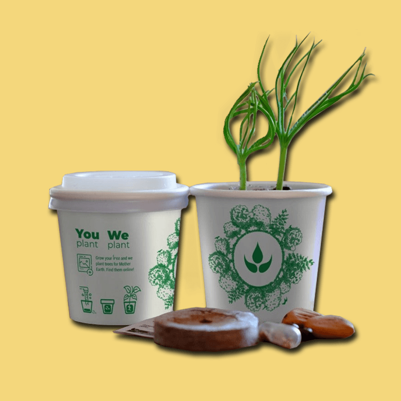 Plant Tree Cup