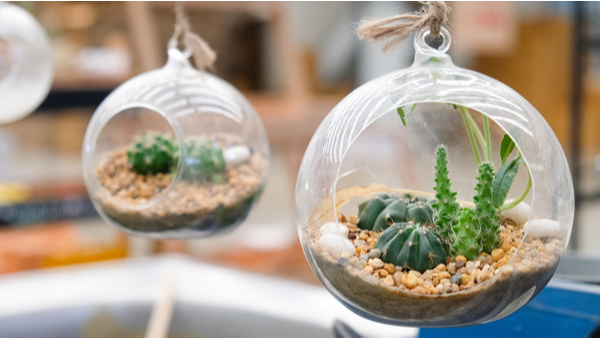 sant-art-terrarium